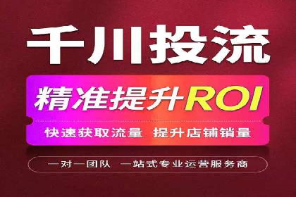 百度广告投放策略与效果评估案例